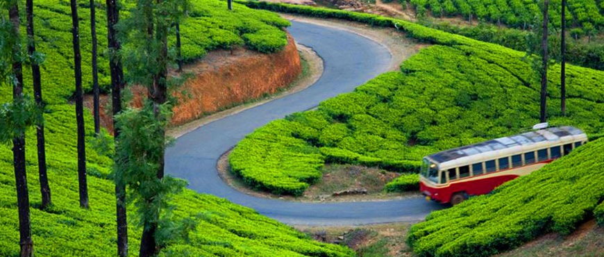 ooty kodaikanal tour packages for couple