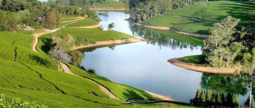 munnar ooty tour package