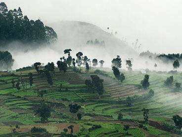 Kodaikanal - Munnar - Ooty